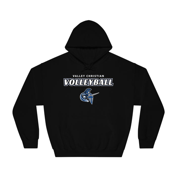 2024 Volleyball Gildan DryBlend® Hoodie Sweatshirt (Shipping Only)