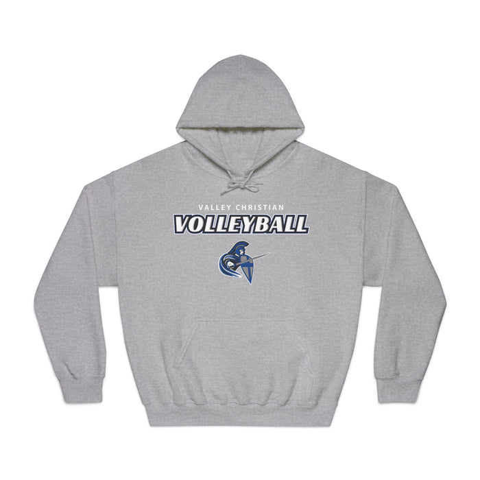 2024 Volleyball Gildan DryBlend® Hoodie Sweatshirt (Shipping Only)