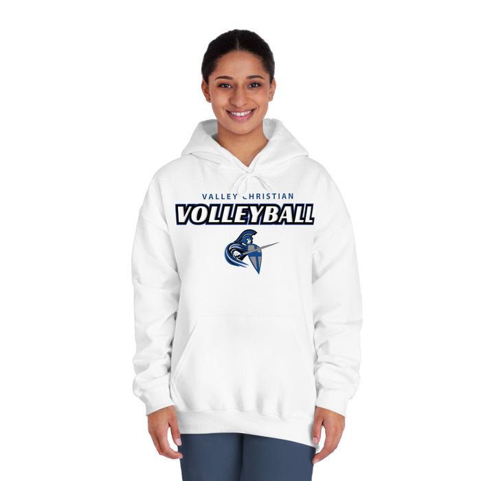 2024 Volleyball Gildan DryBlend® Hoodie Sweatshirt (Shipping Only)