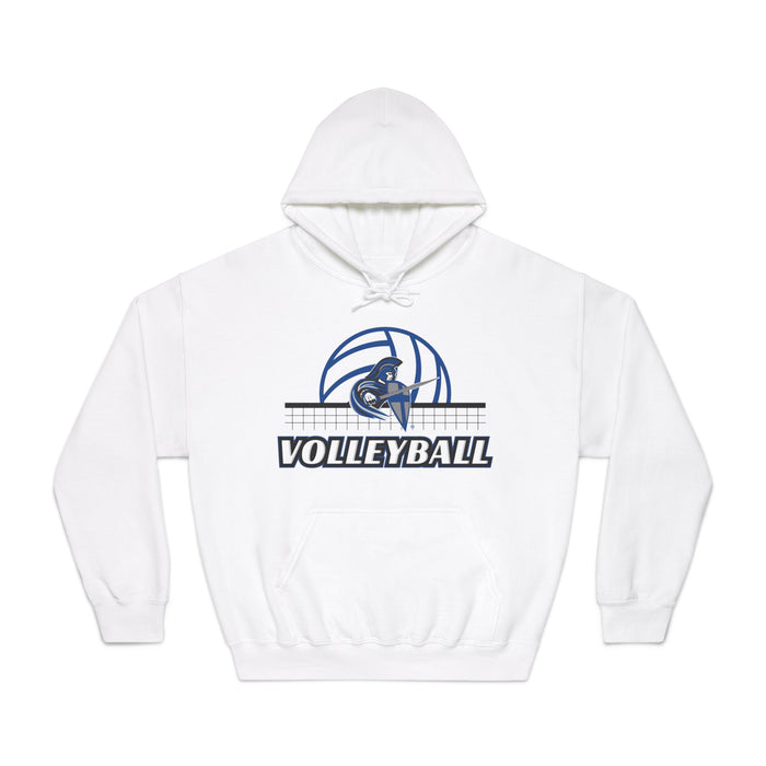 2025 Volleyball Gildan DryBlend® Hoodie (Shipping Only)