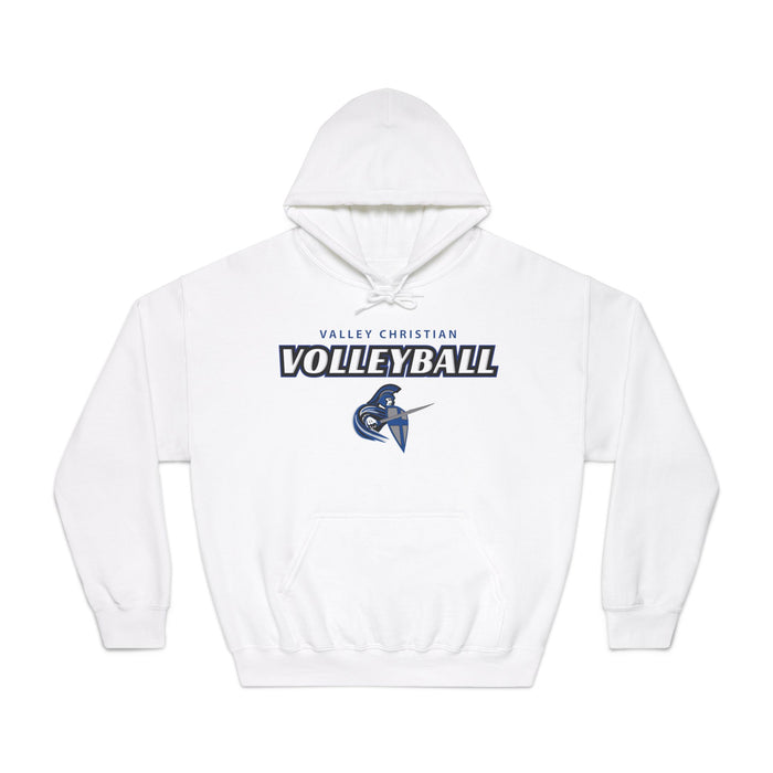 2024 Volleyball Gildan DryBlend® Hoodie Sweatshirt (Shipping Only)