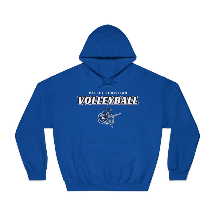2024 Volleyball Gildan DryBlend® Hoodie Sweatshirt (Shipping Only)