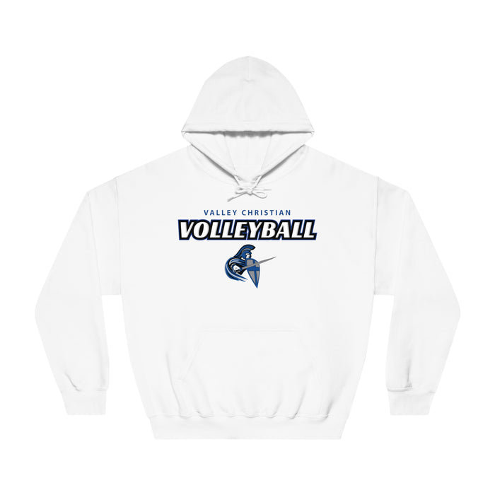 2024 Volleyball Gildan DryBlend® Hoodie Sweatshirt (Shipping Only)