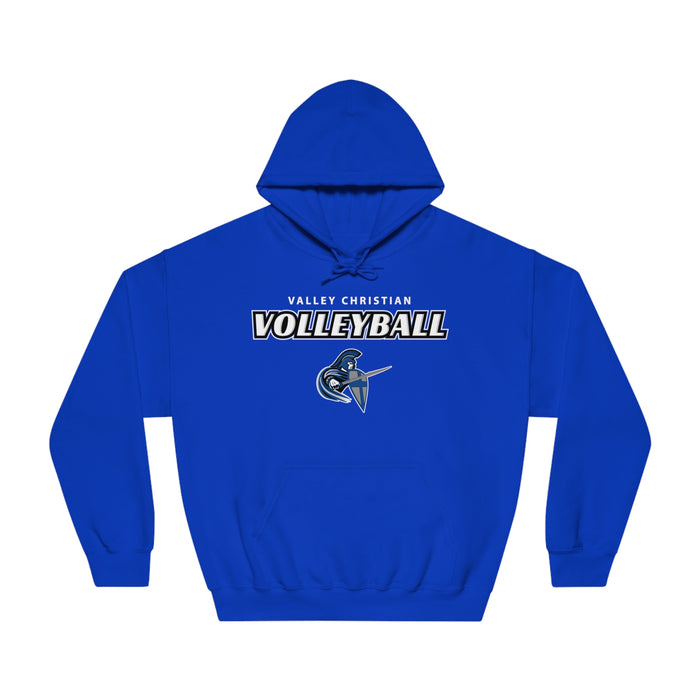 2024 Volleyball Gildan DryBlend® Hoodie Sweatshirt (Shipping Only)