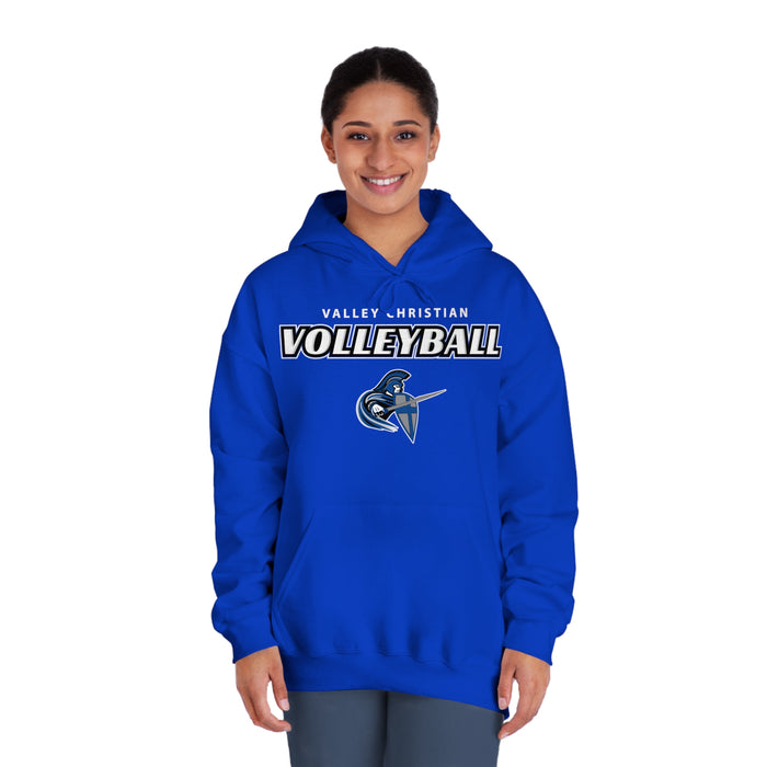 2024 Volleyball Gildan DryBlend® Hoodie Sweatshirt (Shipping Only)